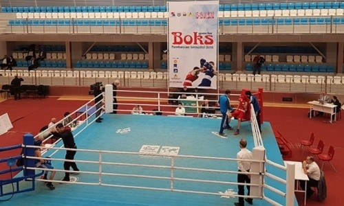 Казахстанские боксеры завоевали пять медалей на турнире в Азербайджане