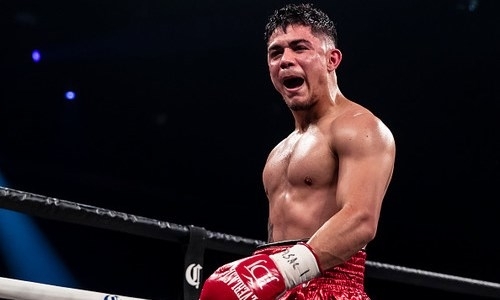 Видео нокаута мощной серией ударов с выброшенным полотенцем в андеркарде боя за три титула в весе Головкина