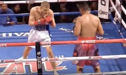 Видеообзор боя с нокдауном и нокаутом в исполнении «наследника» Головкина