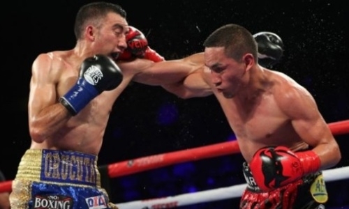 Экс-претендент на титул WBO «отключился» после нокаута в ринге и оказался в коме после боя на «фартовой» арене Головкина