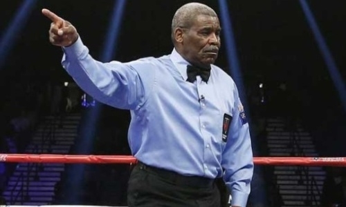 Муж скандальной судьи боя Головкин — «Канело» вляпался не хуже жены