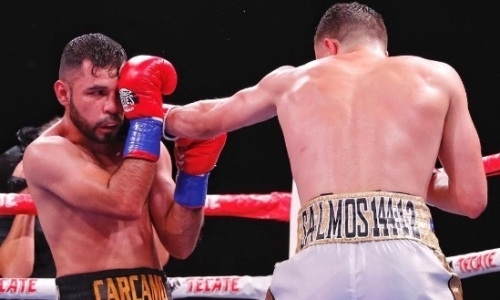 Сбежавшего от Елеусинова мексиканца серией ударов выкинули за канаты. Видео нокаута