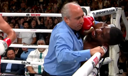 Объединительный бой за титулы WBC и WBO завершился левым хуком и добиванием. Видео