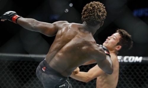 Канадский файтер безумным хайкиком вырубил «Восходящую звезду» UFC. Видео нокаута