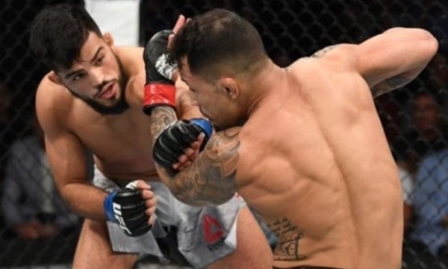 Как по учебнику. Видео зубодробительного нокаута в UFC от ударника из Афганистана