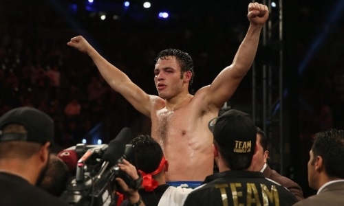 Бросавший вызов Головкину Чавес-младший снес соперника с ринга уже в первом раунде. Видео зверского нокаута