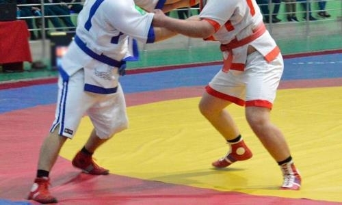 Семь медалей завоевали казахстанцы на чемпионате Азии по қазақ күресі