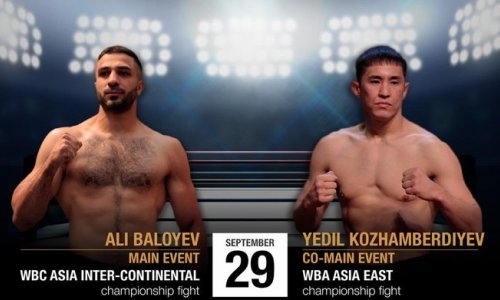 «Охота за титулами». MTK Global анонсировала большой вечер профи-бокса в Актобе
