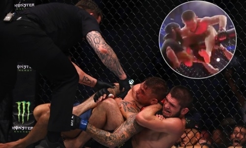 Хабиб Нурмагомедов вновь выпрыгнул из клетки после боя. Видео