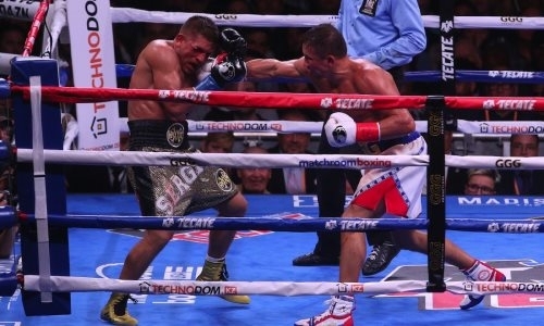 «Усердно трудился». Головкину подсказали способы избежать обязательной защиты титула