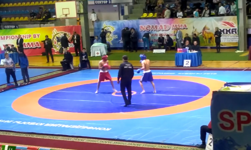 Сборная Казахстана опередила Россию и победила в ЧА-2019 NOMAD MMA