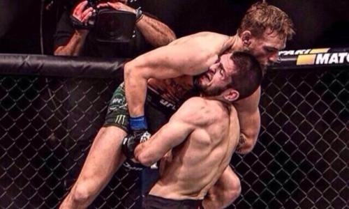 «Мы будем избивать его в стойке». Нурмагомедов предложил следующего соперника Макгрегору