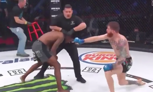 Американский боец ММА атаковал рефери после поражения в Bellator. Видео