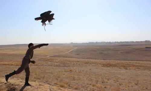Лучшие беркутчи Казахстана состязались на турнире в Таразе
