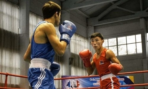 В Павлодаре пройдут полуфинальные поединки международного турнира