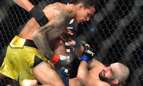 Ветеран UFC оформил нокаут за 86 секунд и продлил серию досрочных побед. Видео