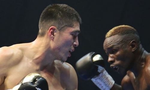 Небитый казахстанский боксер поднялся в мировом рейтинге после победы над соперником с 16 нокаутами