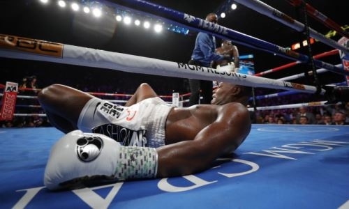 «Я шокирован». Ортис высказался о поражении Уайлдеру нокаутом и поразил планами