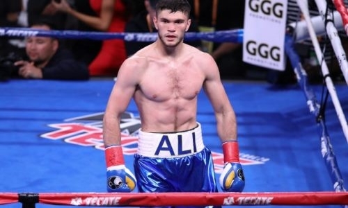 Экс-претенденту на титул чемпиона мира предложили сразиться с небитым казахстанцем