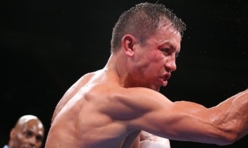 Аналитик Showtime оценил шансы небитого чемпиона мира победить Головкина