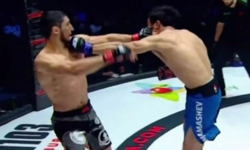 Видео нокаута известного казахстанского файтера кыргызом после пушечного удара с левой