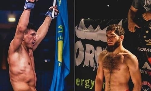 «Не важно где». Хамитов разъяснил ситуацию со своим следующим боем