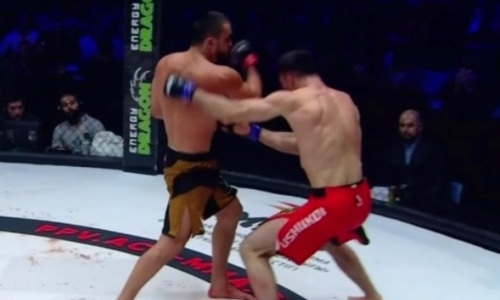 Убийственным нокаутом в титульном бою закончился турнир АСА 102 в Алматы. Видео