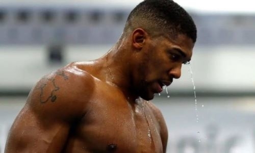 Джошуа неожиданно обнаружил в себе черты «Канело»