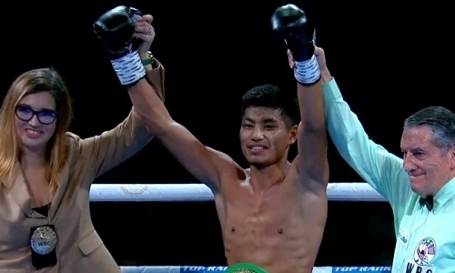 Восемь побед из девяти и жестокий нокаут казахстанского чемпиона. Полные итоги вечера бокса в Алматы