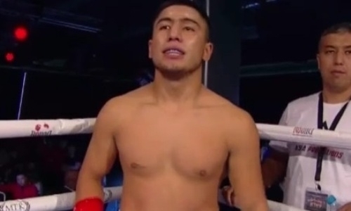 Против узбеков и афганцев. В Алматы пройдет вечер профи-бокса с участием молодых бойцов