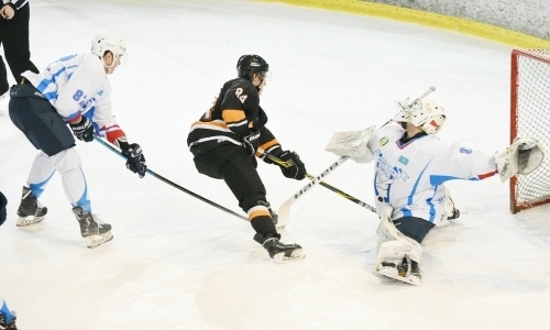 Листки хоккейного календаря. Недели №15-16. 9-22 декабря Сенсационная «Астана», несчастный «Темиртау»