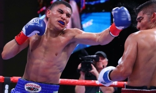 Четыре нокаута в четырех боях. Кому Садриддин Ахмедов проиграл в номинации «Лучший проспект года»