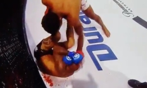 Американский файтер «замочил» соперника в луже крови на турнире Bellator. Видео нокаута