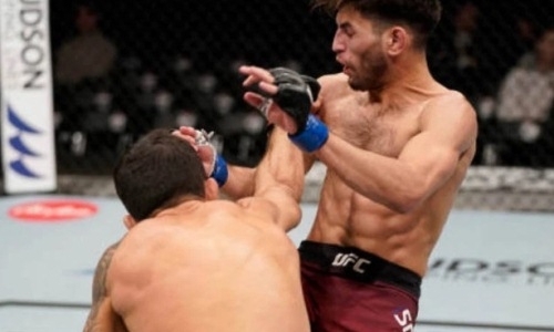 «Каннибал» убийственным ударом с правой нокаутировал американского файтера UFC. Видео