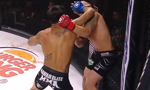 Дебютанта жестоко нокаутировали локтями на турнире Bellator. Видео