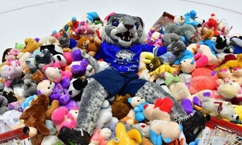 На «Барыс-Арене» ожидается «мишкопад»