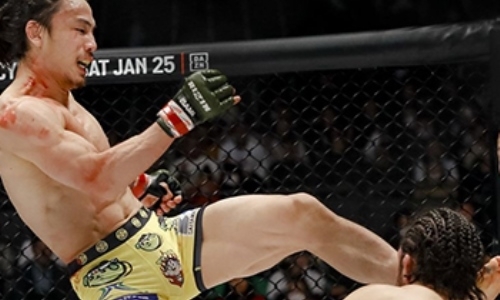 Японец в андеркарде боя Емельяненко круто попал сопернику в лицо и сурово добил с ноги. Видео жестокого нокаута