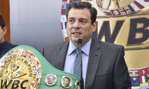 WBC будет жестко наказывать боксёров-профессионалов за участие в Олимпийских играх