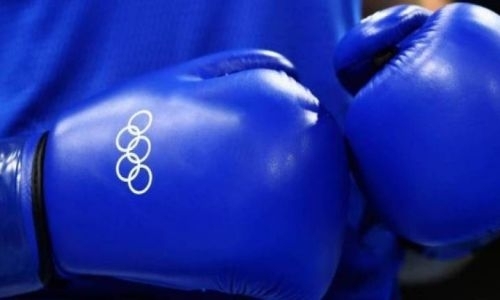 WBA и WBO выразили поддержку профи-боксерам на Олимпиаде-2020