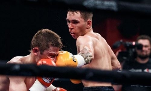 Небитый казахстанский боксер получил в соперники континентального чемпиона с 27 победами