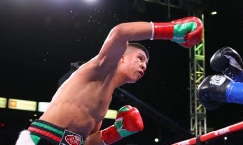 Видео убойного нокаута, или Как экс-чемпион мира дебютировал в весе Головкина победой над ирландским «Боратом»