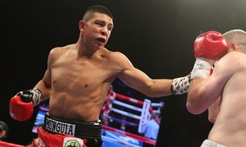 Видео боя потенциальных соперников Головкина со зверским нокаутом и дебютом новой звезды