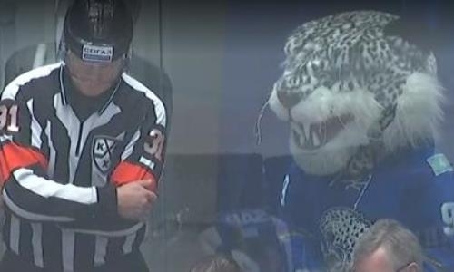 Забавный Барсик. КХЛ отметила отмененный гол «Барыса» в матче с «Металлургом»