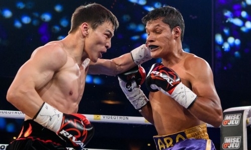 Видео боя с нокдауном и нокаутом. Как казахстанец Джукембаев мощными ударами в челюсть «убивал» мексиканца