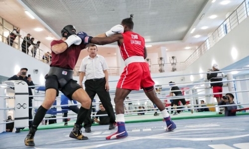 Видео тренировки Левита в паре с известным кубинским боксером