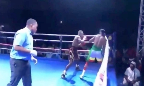 Чемпион WBO «убивал» ветерана при полном бездействии рефери. Видео жуткого нокаута