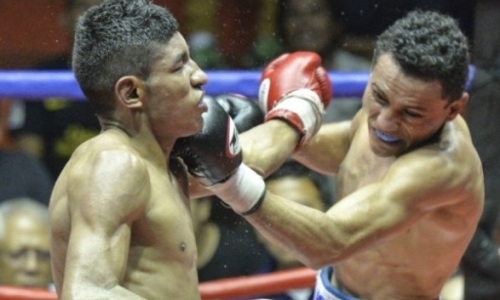 Латиносы устроили зубодробительную драку в элиминаторе за титул WBA. Видео