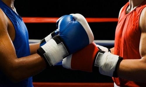 Казахстанская федерация профессионального бокса определила пути развития