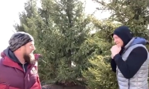 «Обстановка накаляется!». Емельяненко получил удар ногой от Кадырова. Видео