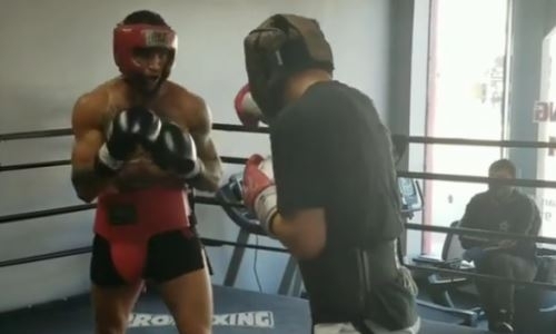 В Сети появилось видео спарринга Алимханулы перед боем с небитым американцем из Golden Boy